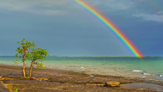 regenbogen 31 liste